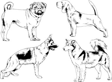 farklı doğurmak-in köpekler mürekkeple el ile arka plan ile seçili nesneleri çizilmiş vektör çizimler