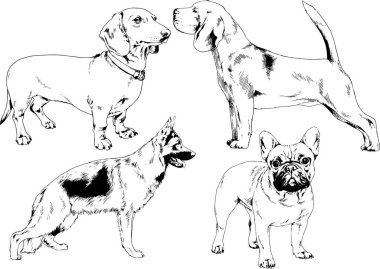 farklı doğurmak-in köpekler mürekkeple el ile arka plan ile seçili nesneleri çizilmiş vektör çizimler
