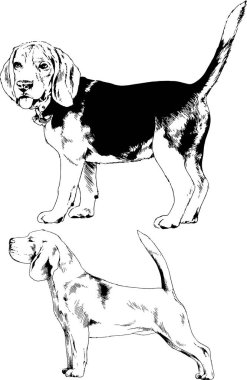 farklı doğurmak-in köpekler mürekkeple el ile arka plan ile seçili nesneleri çizilmiş vektör çizimler