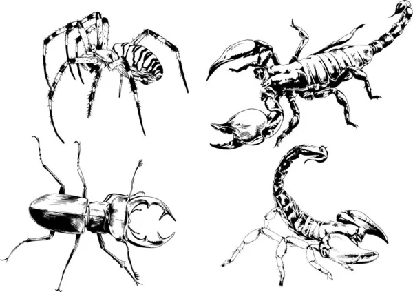 ベクトル図は異なる昆虫のバグをスケッチ手でインクで描かれたスコーピオンクモ 背景のないオブジェクト — ストックベクタ