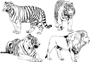 Çeşitli hayvanların vektör çizimleri, yırtıcılar ve otçullar, elle çizilmiş çizimler, dövmeler.