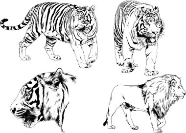 Çeşitli hayvanların vektör çizimleri, yırtıcılar ve otçullar, elle çizilmiş çizimler, dövmeler.