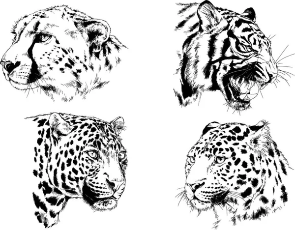 Serie Disegni Vettoriali Vari Animali Predatori Erbivori Schizzi Disegnati Mano — Vettoriale Stock