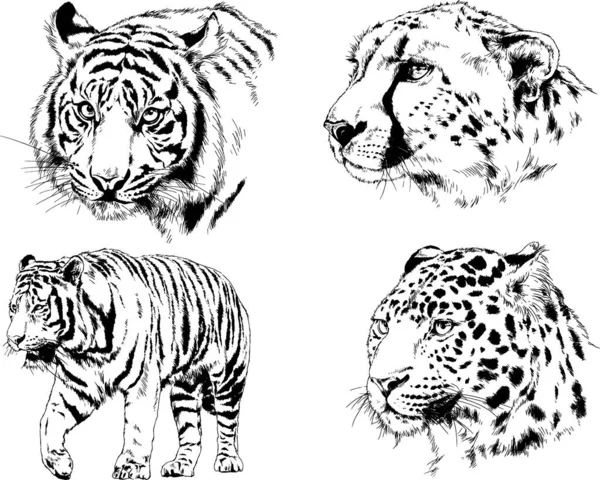 Набір Векторних Малюнків Різних Тварин Хижаків Травоїдних Намальовані Вручну Ескізи — стоковий вектор