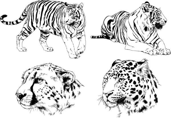 Набор Векторных Рисунков Различных Животных Хищников Травоядных Набросков Татуировок — стоковый вектор