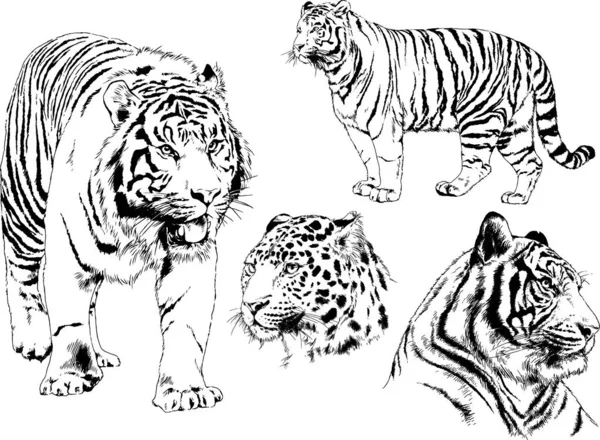 Set Vector Drawings Various Animals Predators Herbivores Hand Drawn Sketches — Stock Vector