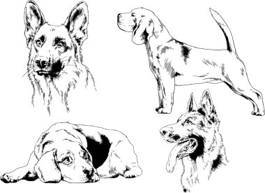 farklı doğurmak-in köpekler mürekkeple el ile arka plan ile seçili nesneleri çizilmiş vektör çizimler