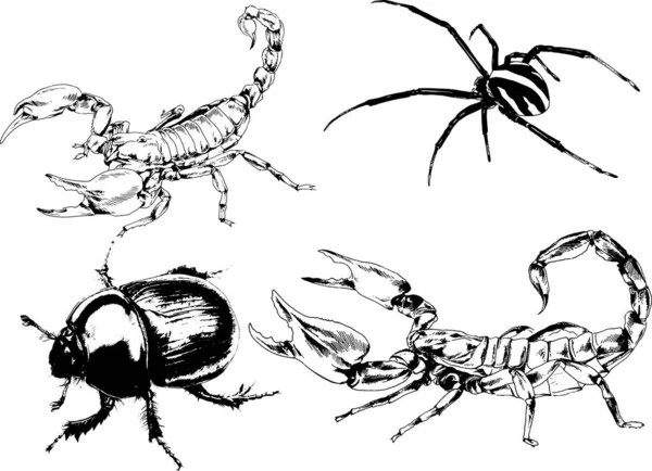 Desenhos Vetoriais Esboços Diferentes Insetos Insetos Escorpiões Aranhas Desenhadas Tinta —  Vetores de Stock