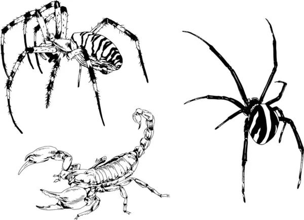 ベクトル図は異なる昆虫のバグをスケッチ手でインクで描かれたスコーピオンクモ 背景のないオブジェクト — ストックベクタ