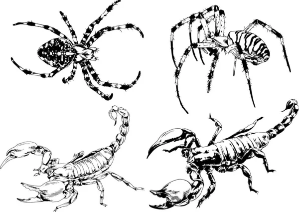 Disegni Vettoriali Schizzi Insetti Diversi Insetti Ragni Scorpioni Disegnati Mano — Vettoriale Stock