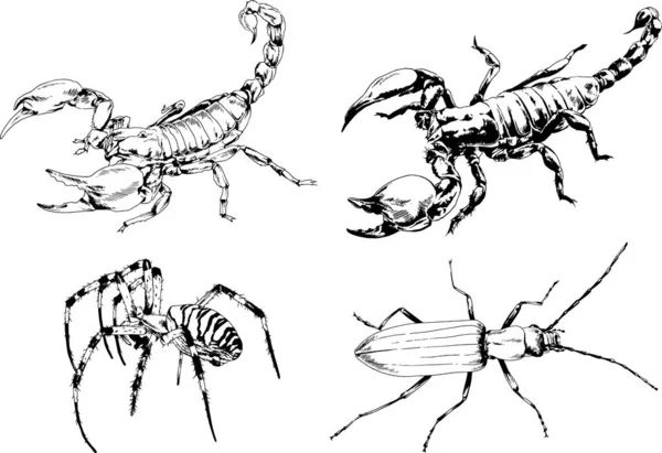 Vectortekeningen Schetst Verschillende Insecten Insecten Schorpioenen Spinnen Met Hand Getekend — Stockvector