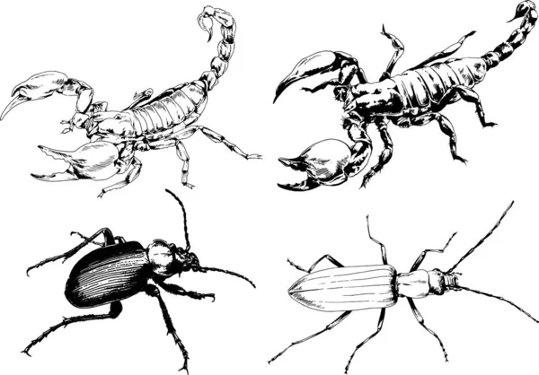 Vectortekeningen Schetst Verschillende Insecten Insecten Schorpioenen Spinnen Met Hand Getekend — Stockvector