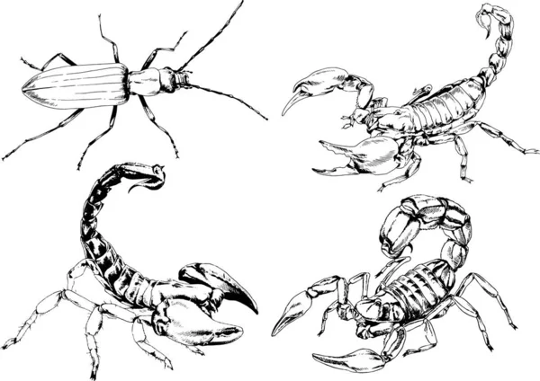 矢量绘图描绘了不同的昆虫昆虫蝎子蜘蛛用墨水手绘 没有背景的物体 — 图库矢量图片