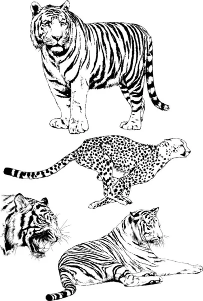 Sada Vektorových Kreseb Různých Živočichů Dravců Býložravců Ručně Kreslené Náčrty — Stockový vektor