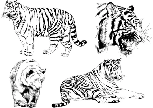様々な動物や捕食者や草食動物のベクトル図や手描きのスケッチタトゥー — ストックベクタ