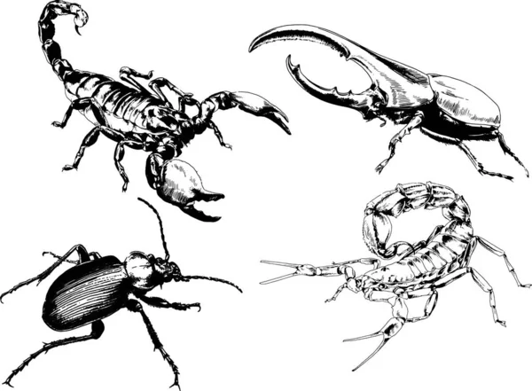 Vectortekeningen Schetst Verschillende Insecten Insecten Schorpioenen Spinnen Met Hand Getekend — Stockvector