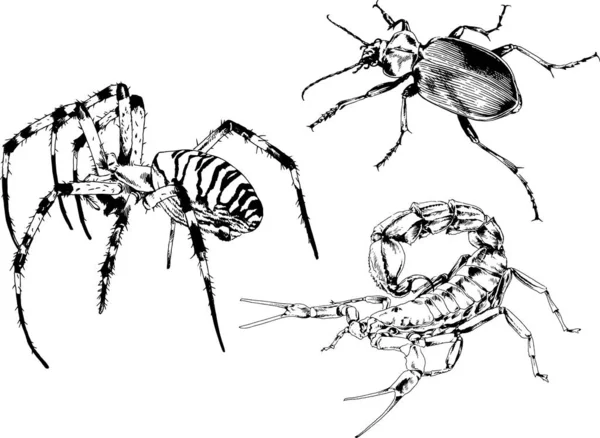 Vectortekeningen Schetst Verschillende Insecten Insecten Schorpioenen Spinnen Met Hand Getekend — Stockvector