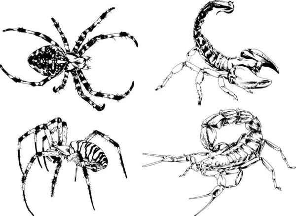 Vector Drawings Sketches Different Insects Bugs Scorpions Spiders Drawn Ink — Stock Vector