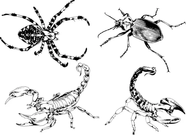 Vektorové Kresby Kreslí Různé Brouky Hmyzu Škorpióni Kreslení Inkoustem Rukou — Stockový vektor