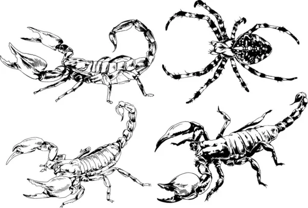 Desenhos Vetoriais Esboços Diferentes Insetos Insetos Escorpiões Aranhas Desenhadas Tinta —  Vetores de Stock