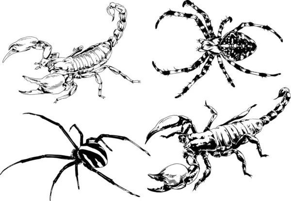 Desenhos Vetoriais Esboços Diferentes Insetos Insetos Escorpiões Aranhas Desenhadas Tinta — Vetor de Stock