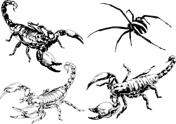 Vector Drawings Sketches Different Insects Bugs Scorpions Spiders Drawn Ink — Stock Vector