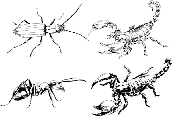 Vectortekeningen Schetst Verschillende Insecten Insecten Schorpioenen Spinnen Met Hand Getekend — Stockvector