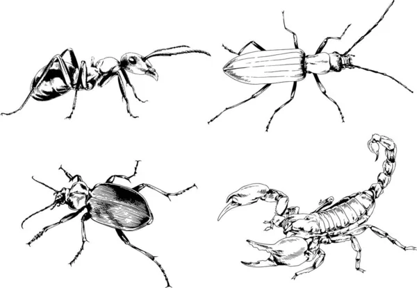 Desenhos Vetoriais Esboços Diferentes Insetos Insetos Escorpiões Aranhas Desenhadas Tinta —  Vetores de Stock