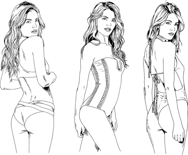Vector Drawings Sketches Beautiful Girls Blondes Swimsuits Sexual Poses Drawn — Stock Vector