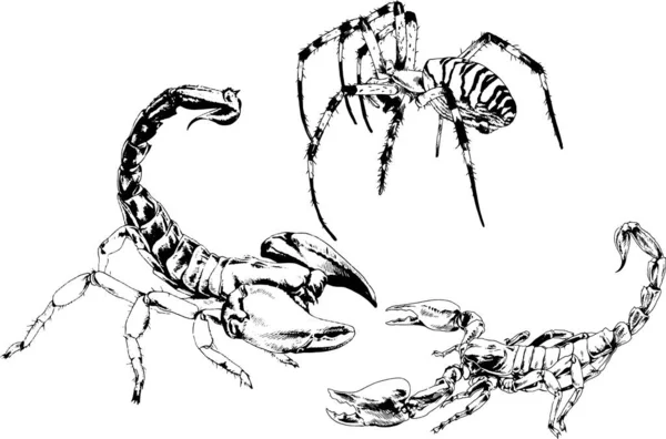 Dibujos Vectoriales Bocetos Insectos Diferentes Insectos Scorpions Arañas Dibujadas Con — Vector de stock