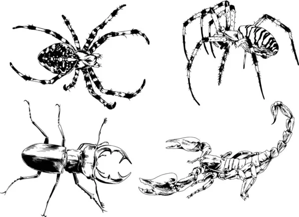 Desenhos Vetoriais Esboços Diferentes Insetos Insetos Escorpiões Aranhas Desenhadas Tinta — Vetor de Stock