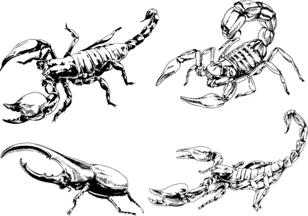 Desenhos Vetoriais Esboços Diferentes Insetos Insetos Escorpiões Aranhas Desenhadas Tinta —  Vetores de Stock