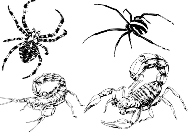 Dessins Vectoriels Esquisse Différents Insectes Insectes Scorpions Araignées Dessinées Encre — Image vectorielle