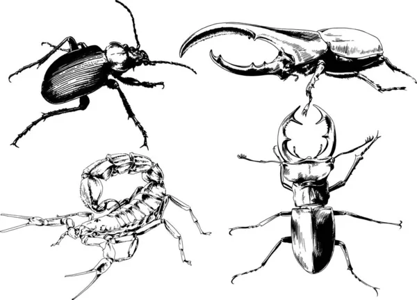 Disegni Vettoriali Schizzi Insetti Diversi Insetti Ragni Scorpioni Disegnati Mano — Vettoriale Stock