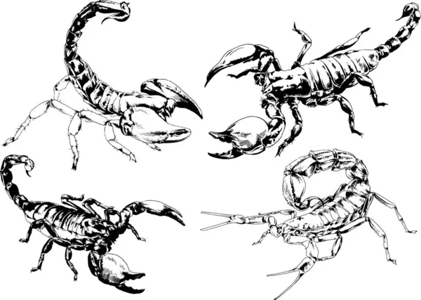 ベクトル図は異なる昆虫のバグをスケッチ手でインクで描かれたスコーピオンクモ 背景のないオブジェクト — ストックベクタ