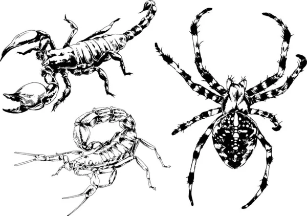 Dibujos Vectoriales Bocetos Insectos Diferentes Insectos Scorpions Arañas Dibujadas Con — Vector de stock