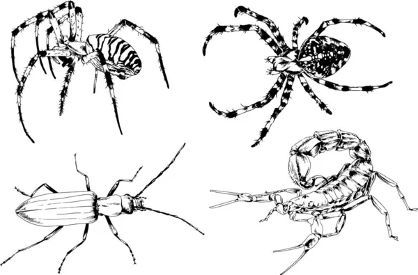 Vektor Rajzok Vázlatok Különböző Rovarok Hibák Skorpiók Pókok Rajzolt Tinta — Stock Vector