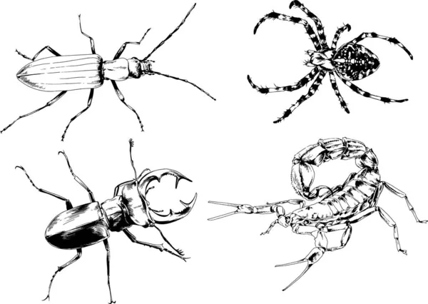 ベクトル図は異なる昆虫のバグをスケッチ手でインクで描かれたスコーピオンクモ 背景のないオブジェクト — ストックベクタ