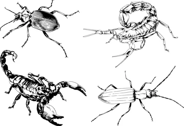 Desenhos Vetoriais Esboços Diferentes Insetos Insetos Escorpiões Aranhas Desenhadas Tinta —  Vetores de Stock