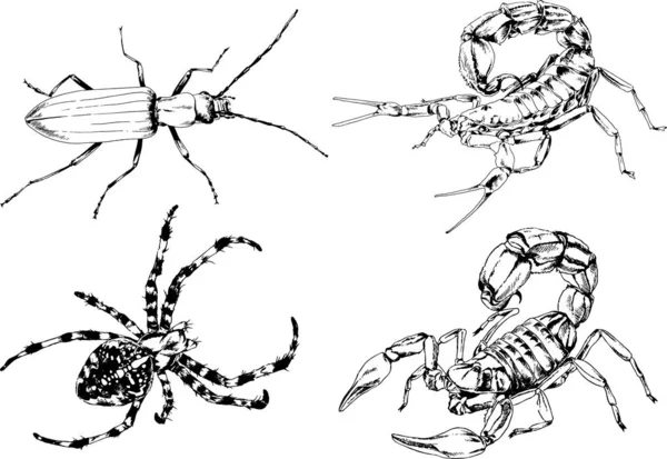 ベクトル図は異なる昆虫のバグをスケッチ手でインクで描かれたスコーピオンクモ 背景のないオブジェクト — ストックベクタ