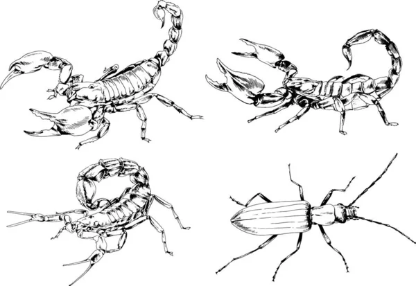 Disegni Vettoriali Schizzi Insetti Diversi Insetti Ragni Scorpioni Disegnati Mano — Vettoriale Stock