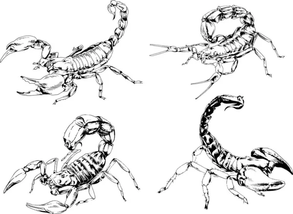 Vector Drawings Sketches Different Insects Bugs Scorpions Spiders Drawn Ink — Stock Vector