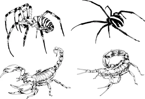 Vectortekeningen Schetst Verschillende Insecten Insecten Schorpioenen Spinnen Met Hand Getekend — Stockvector