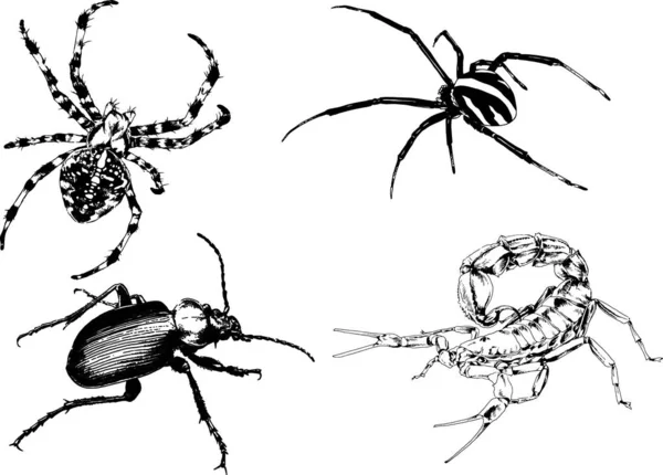 Vector Drawings Sketches Different Insects Bugs Scorpions Spiders Drawn Ink — Stock Vector