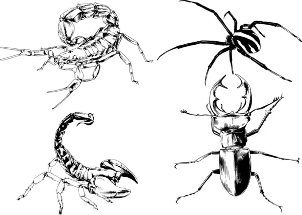 Desenhos Vetoriais Esboços Diferentes Insetos Insetos Escorpiões Aranhas Desenhadas Tinta —  Vetores de Stock
