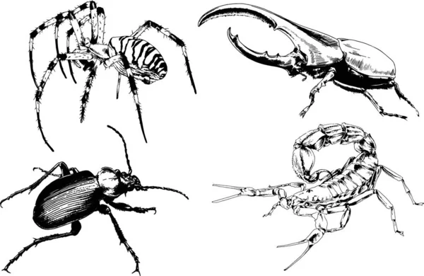 Vektör Çizimleri Farklı Böcekler Çizer Akrepler Mürekkeple Çizilen Örümcekler Arka — Stok Vektör