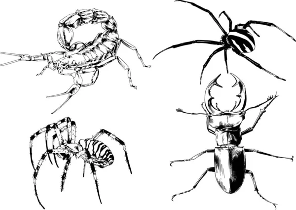 Vektorzeichnungen Skizzieren Verschiedene Insekten Käfer Skorpione Spinnen Mit Tusche Von — Stockvektor