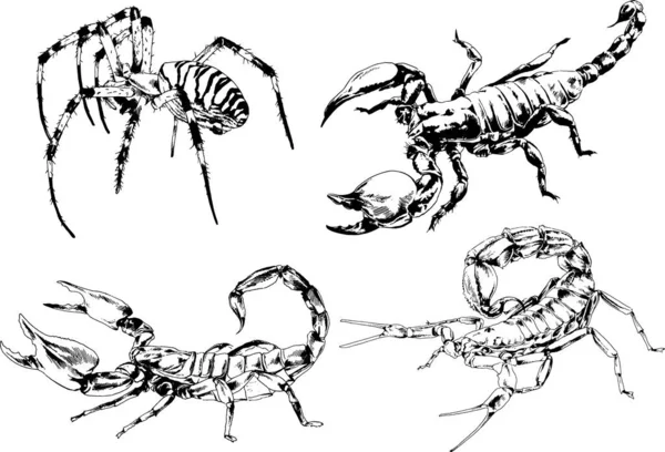 ベクトル図は異なる昆虫のバグをスケッチ手でインクで描かれたスコーピオンクモ 背景のないオブジェクト — ストックベクタ