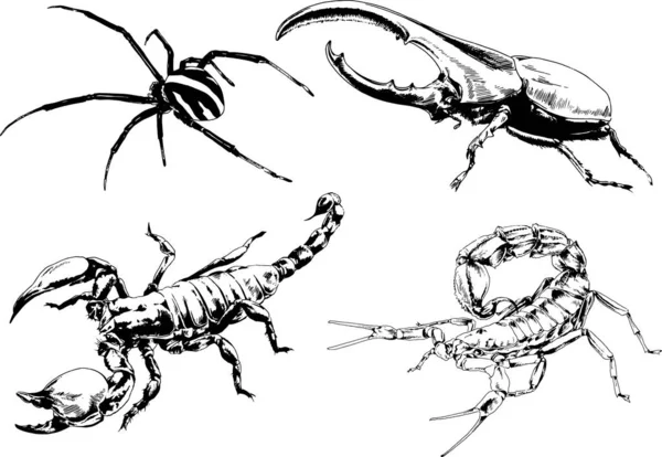 Dessins Vectoriels Esquisse Différents Insectes Insectes Scorpions Araignées Dessinées Encre — Image vectorielle