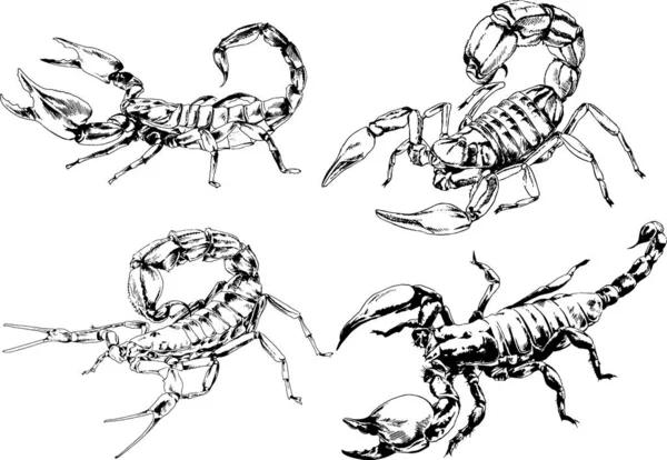 ベクトル図は異なる昆虫のバグをスケッチ手でインクで描かれたスコーピオンクモ 背景のないオブジェクト — ストックベクタ